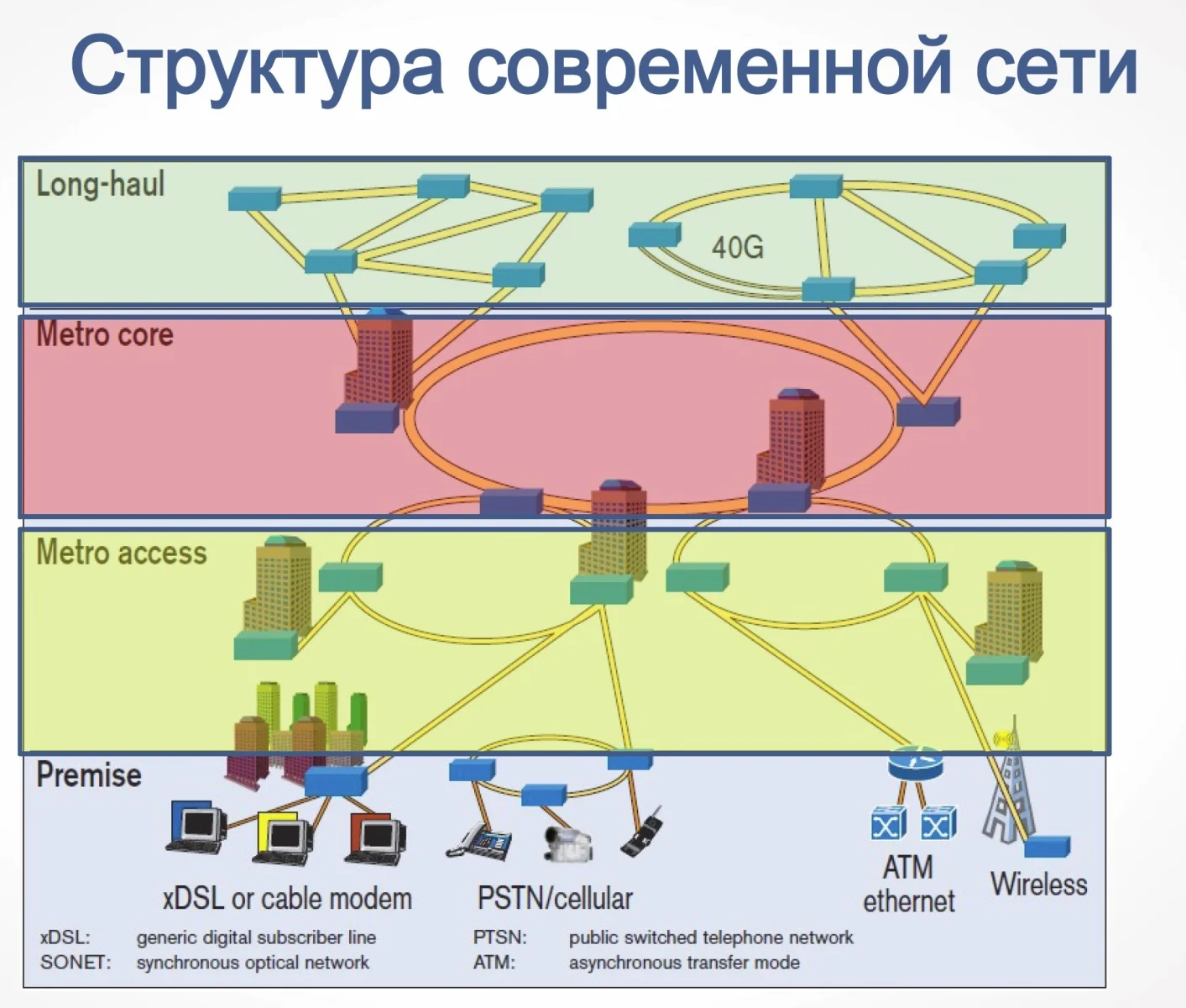 вид сети.jpg